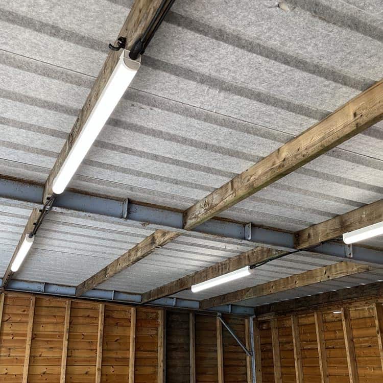 farm-lighting-installation-in-lambing-shed-Kings-Lynn